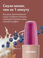 Блендер NutriBullet PRO NB908MACL