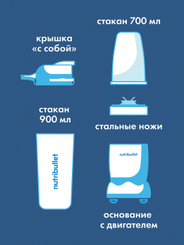 Блендер NutriBullet PRO NB908MASL