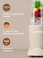 Блендер NutriBullet PRO NB908MASN