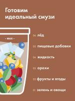 Блендер NutriBullet PRO NB908MASN